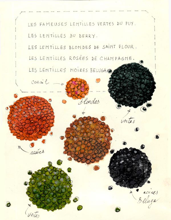 Les lentilles vertes du Berry : Label rouge et IGP