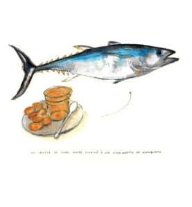 bluefin tuna
