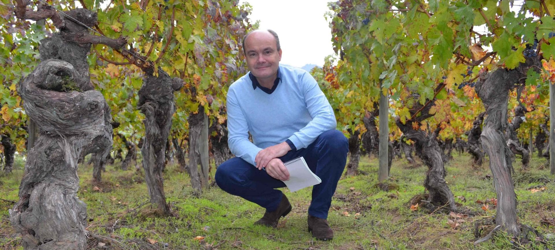 Olivier in the Chilean vineyard
